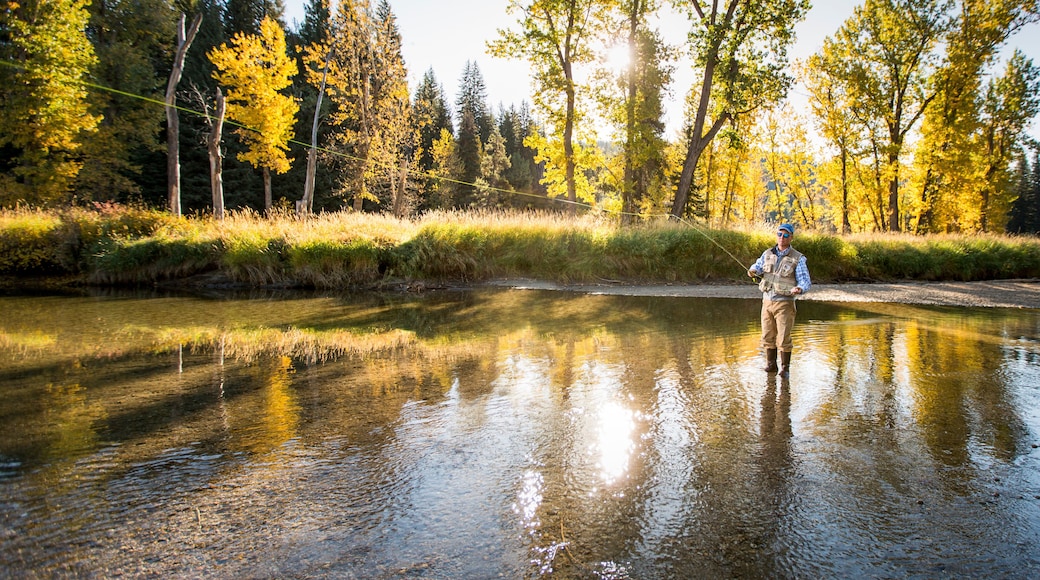 Man fly fishing on North Fork of Payette River, Idaho, USA