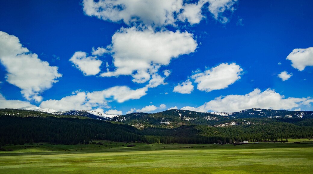 New Meadows Widescreen