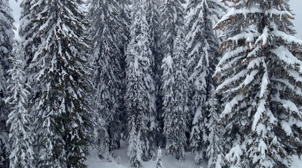 Hidden valley on Brundage mountain -- the sign taunts us by warning that this terrain is for "experts only". Experts or not, the snow and the view is so good anyone could enjoy it. #snow