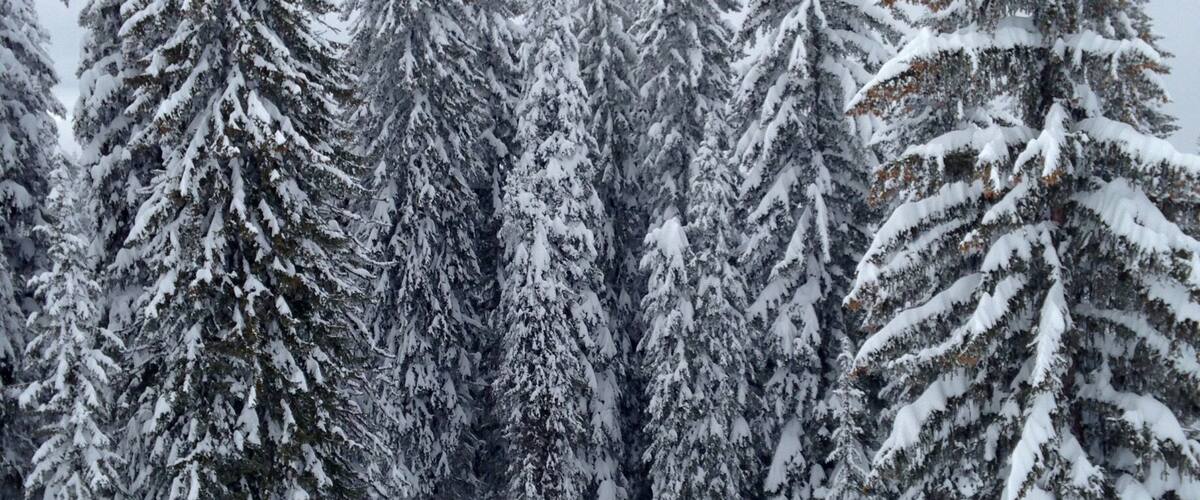 Hidden valley on Brundage mountain -- the sign taunts us by warning that this terrain is for "experts only". Experts or not, the snow and the view is so good anyone could enjoy it. #snow