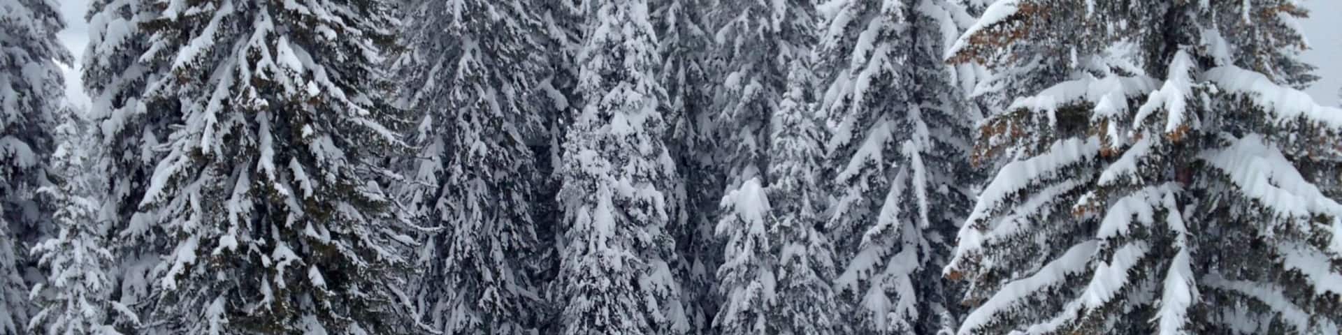 Hidden valley on Brundage mountain -- the sign taunts us by warning that this terrain is for "experts only". Experts or not, the snow and the view is so good anyone could enjoy it. #snow