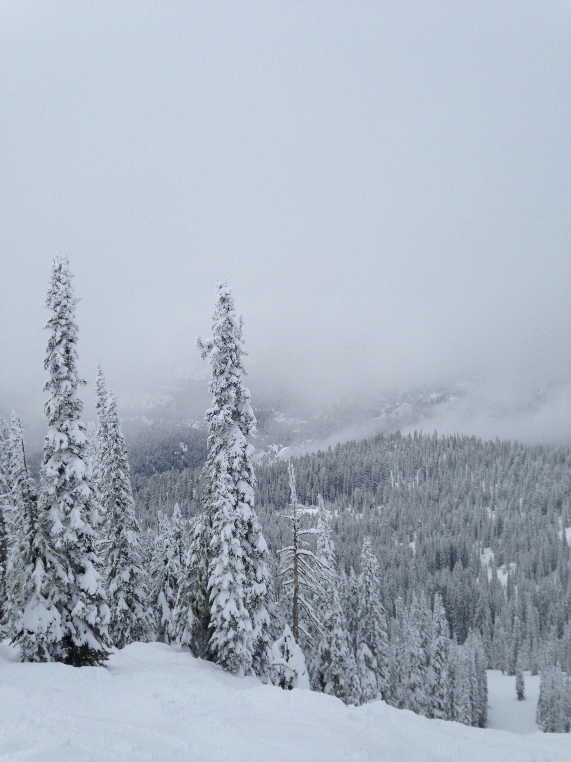 My favorite place to ski #snow #snowski #myidaho #idahome