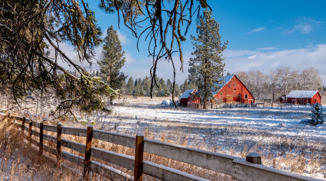 Red barn on a farm winter Idaho