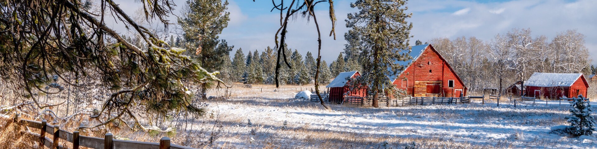 A snowy landscape with a wooden fence, red barns, and evergreen trees.
