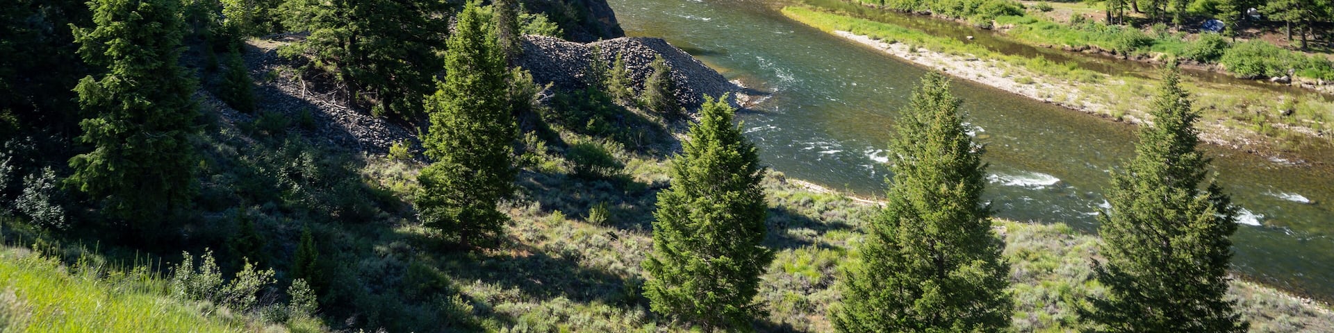 A river flowing through a dense forest with mountains in the background.