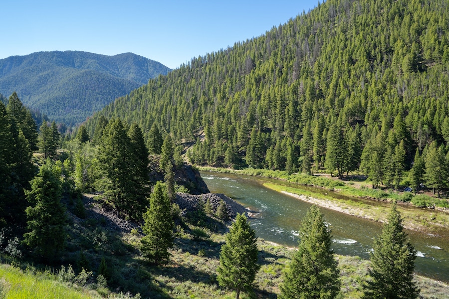 Un río serpentea por un bosque denso, con montañas al fondo.