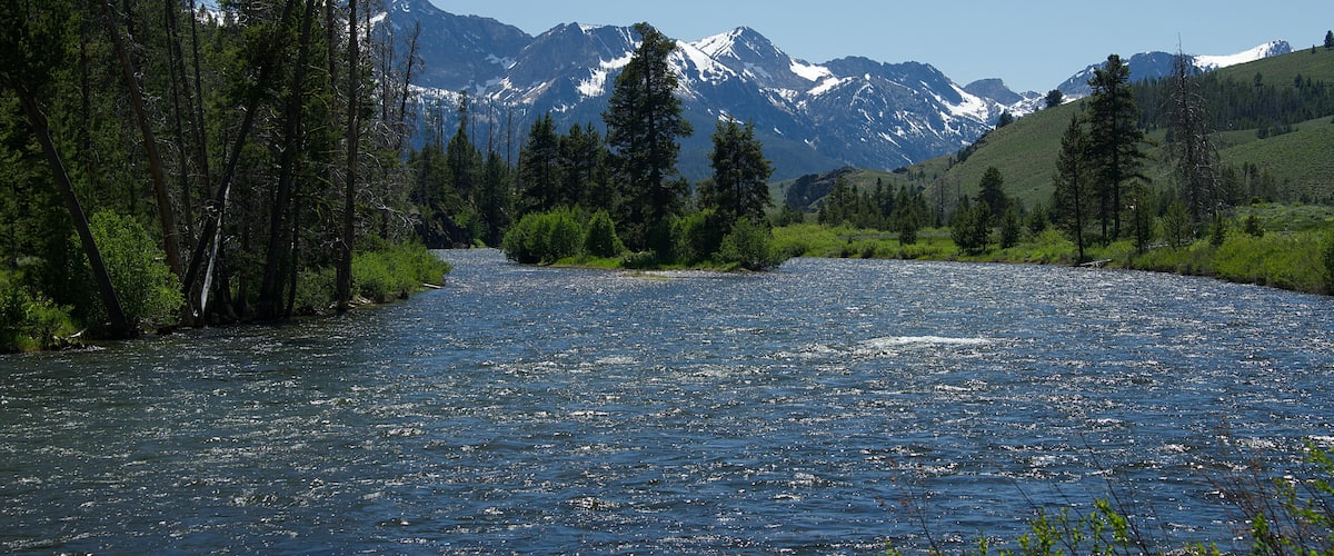 A river flowing through a forest with snow-capped mountains in the background.