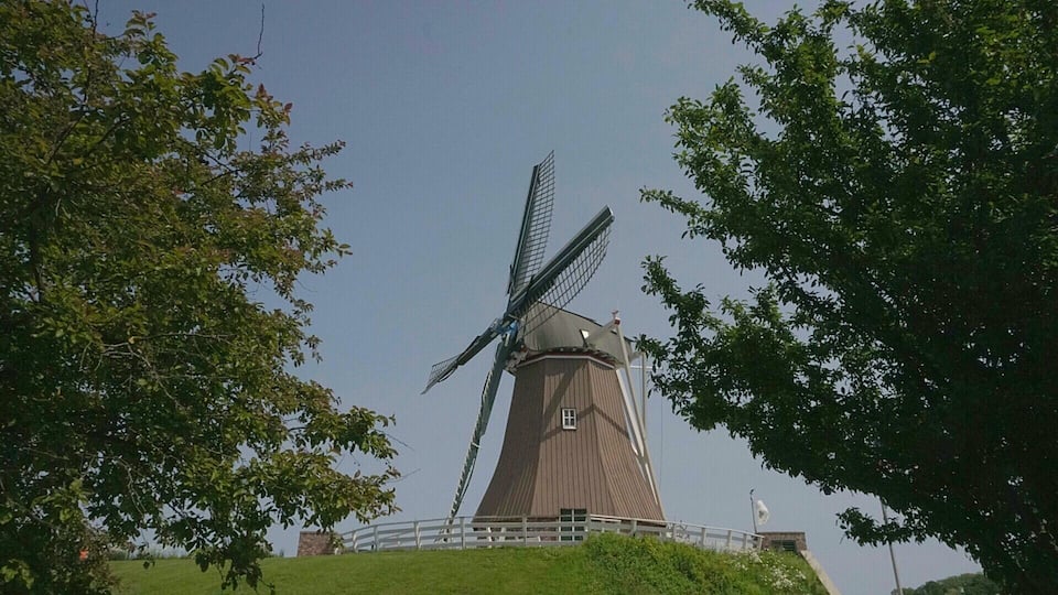 A traditional windmill with a wooden structure and large sails, surrounded by lush green trees.