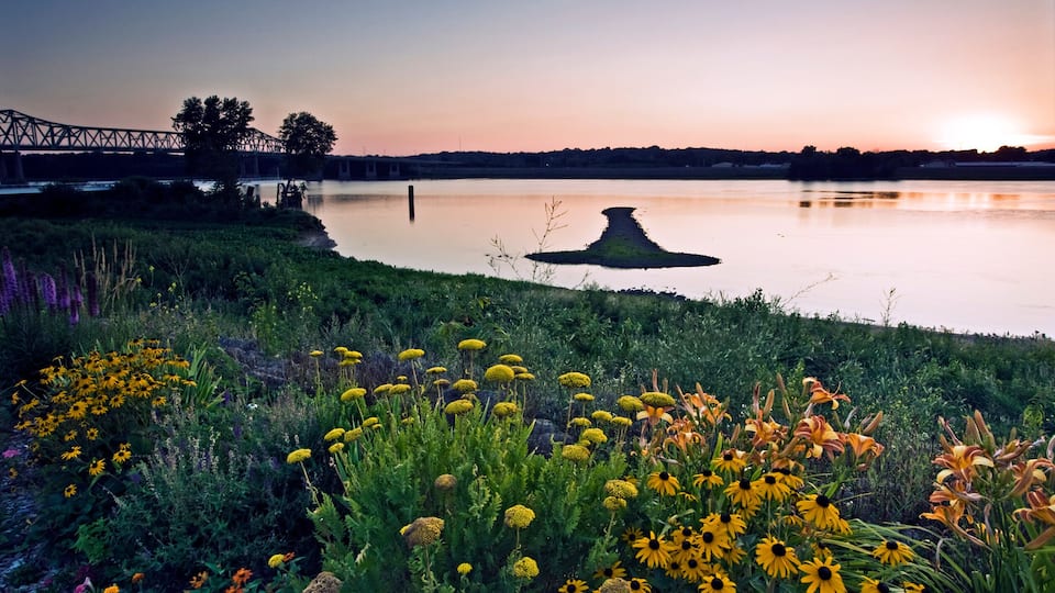 A sunset over a calm lake with a bridge in the background and a variety of flowers in the foreground.