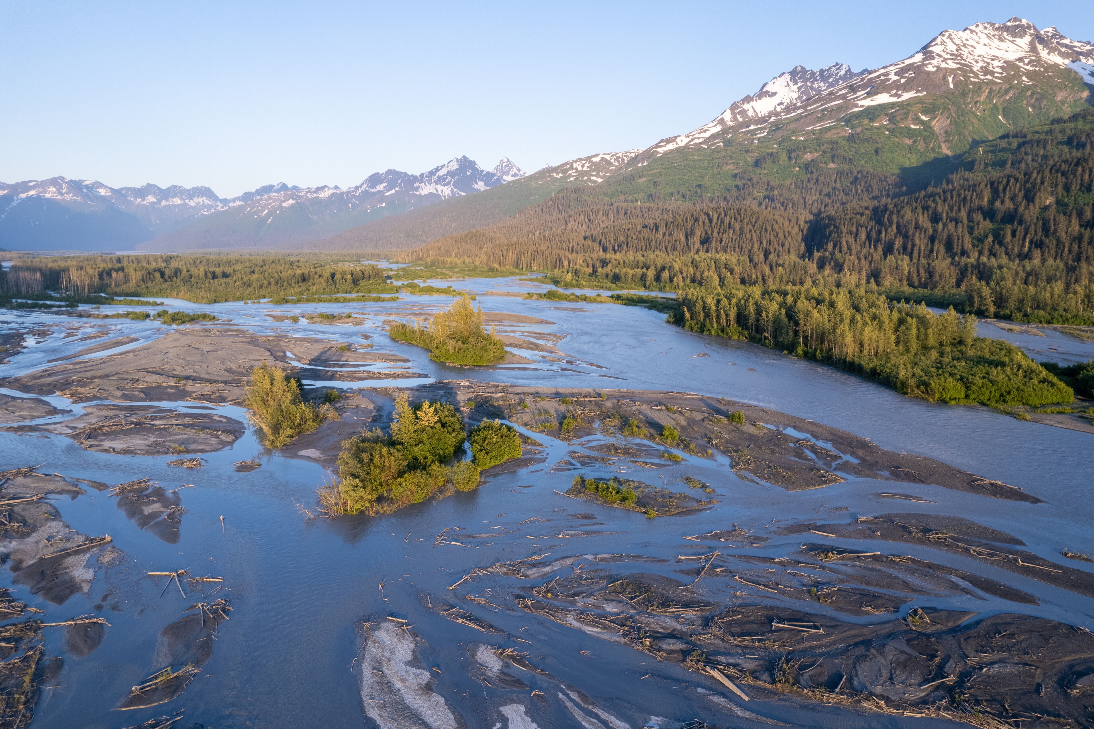 Aerial view of braided river channels carving through a landscape where dark sediments meet the emerald forest under the gaze of snow-capped mountains, Valdez, Alaska, United States.