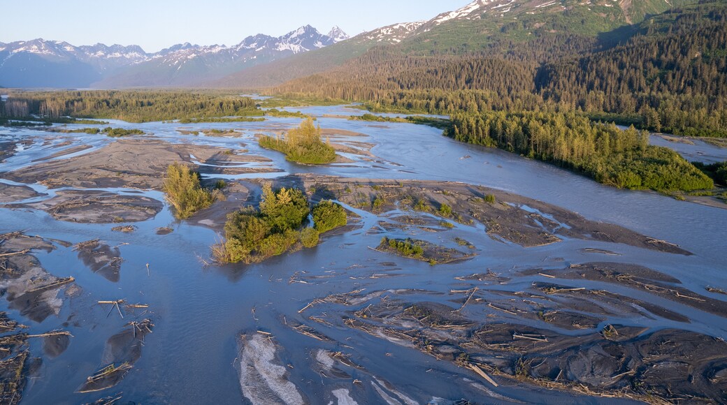 Aerial view of braided river channels carving through a landscape where dark sediments meet the emerald forest under the gaze of snow-capped mountains, Valdez, Alaska, United States.