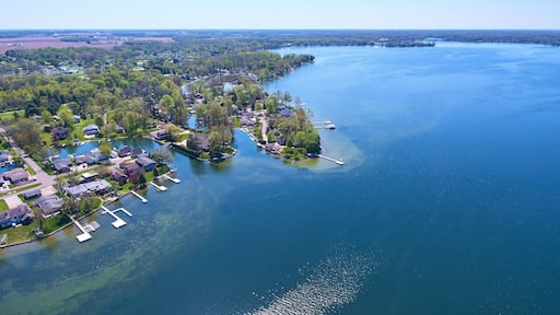 Lake houses on distant shore aerial asset water property green algae in water piers and docks
