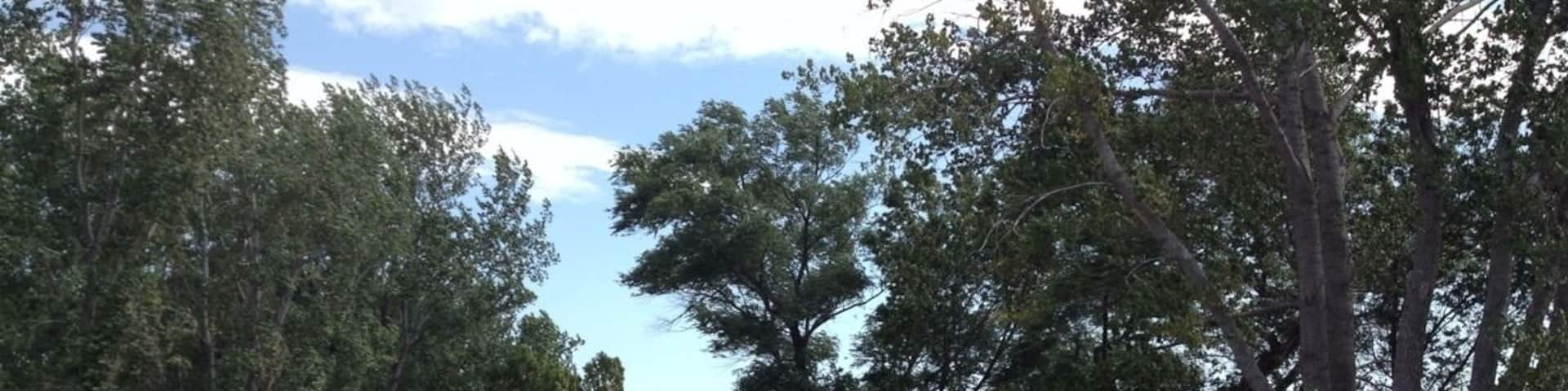 Nice county park on the shores of Lake Cornelia. Features a Large picnic area, campground, trails, playground, and a beach.