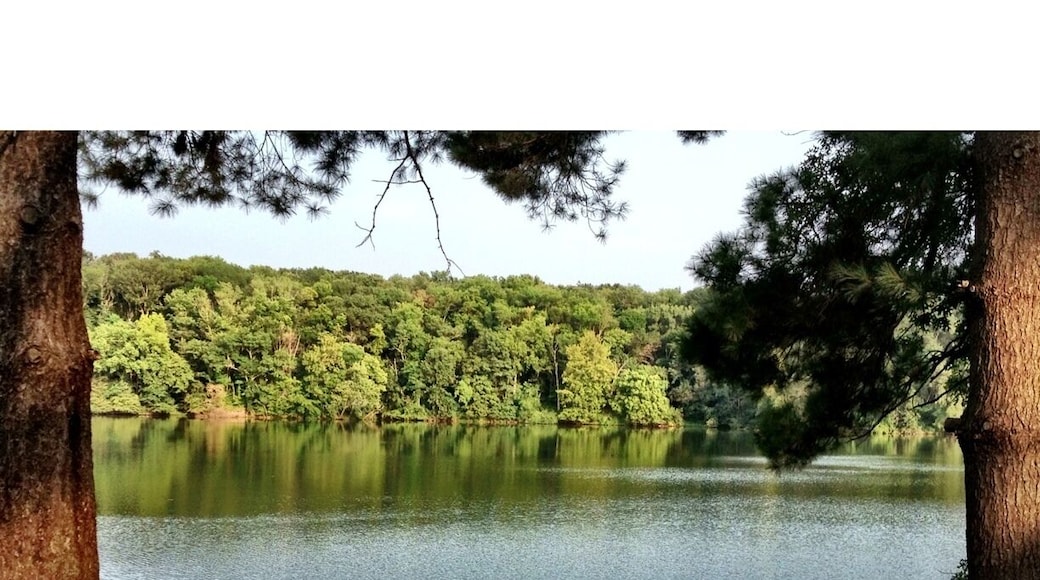 State park includes Pine Lake, biking trail, and large campground.