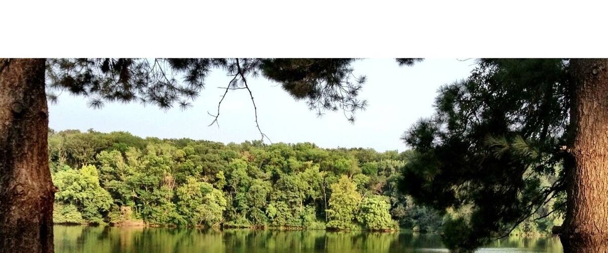 A calm lake with a wooden dock extending into the water, surrounded by dense green trees.
