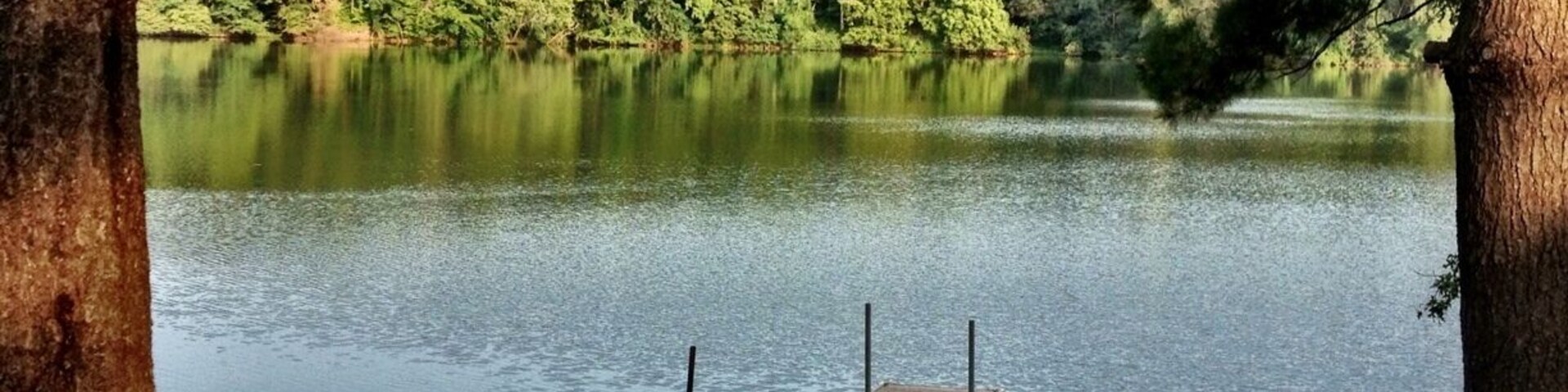 A calm lake with a wooden dock extending into the water, surrounded by dense green trees.