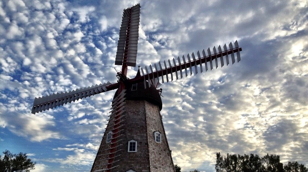 Beautiful Danish Windmill in the town of Elk Horn.
#localgem