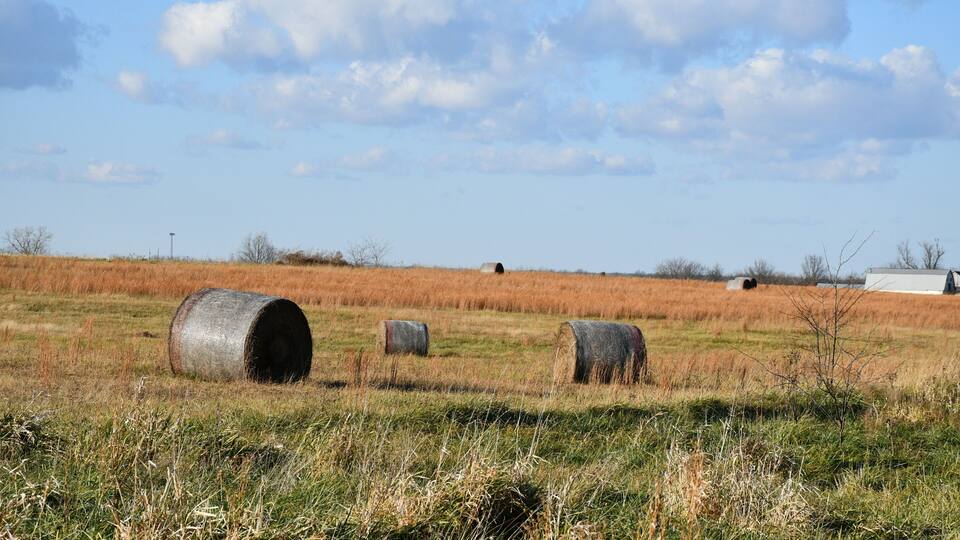 A rural landscape with hay bales in a field, a clear sky, and a distant building.