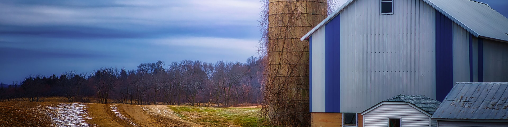 A barn, a silo, and a dirt road in a rural setting.