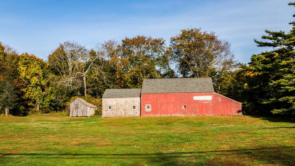 A red barn and a smaller shed in a grassy field with trees in the background.