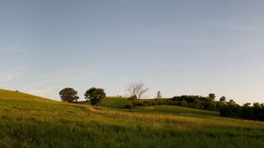 Rolling green hills, a clear sky, and scattered trees.
