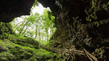 Cave Stairs / A set of stairs leading out of a cave.