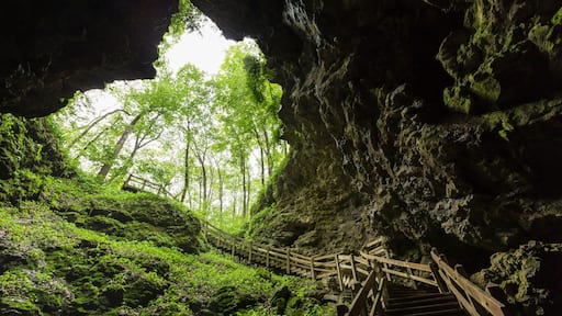 Cave Stairs / A set of stairs leading out of a cave.