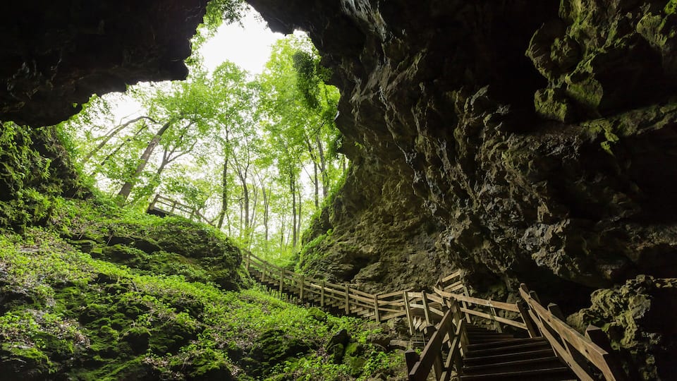 A wooden staircase leading into a cave with green moss and trees visible through the opening.