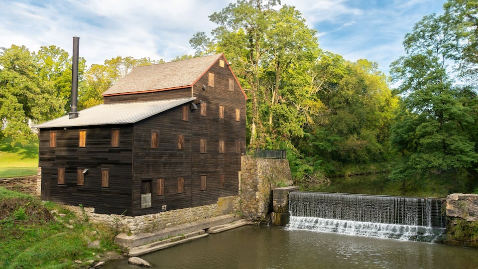 A wooden mill with a water wheel, surrounded by lush greenery and trees.