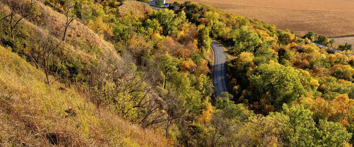 A winding road through a hilly area with autumn-colored trees and fields.
