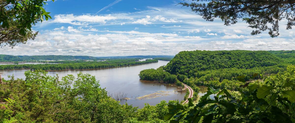 A river winding through a densely forested area with a clear sky.