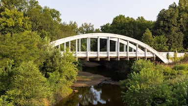 A white arched bridge over a calm river, surrounded by lush greenery.