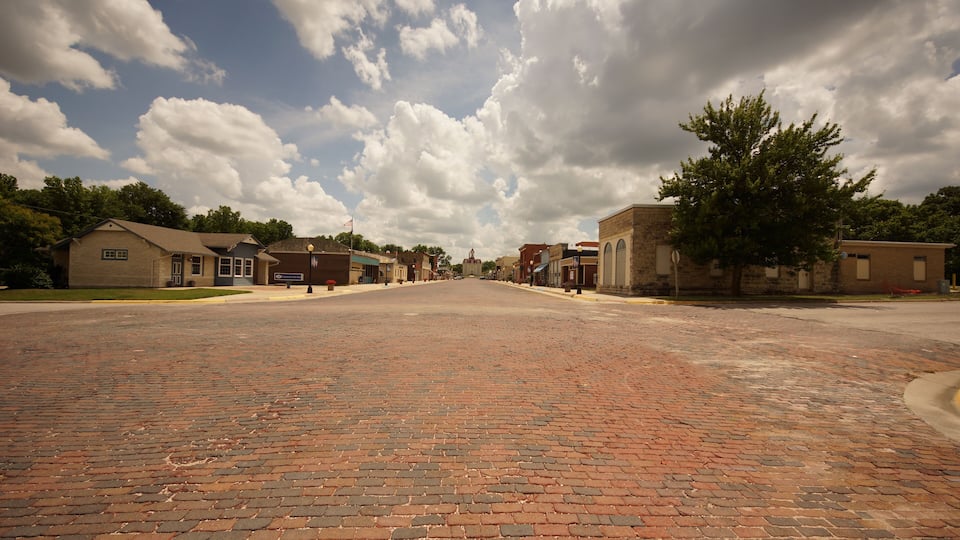 A brick-paved street with buildings on either side, a clear sky, and a large tree in the foreground.