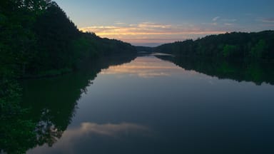 Un río tranquilo flanqueado por densos bosques bajo un cielo crepuscular.