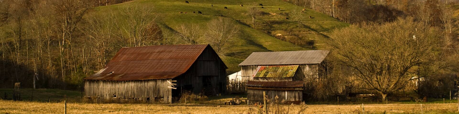 Farm Landscape near West Liberty Kentucky
