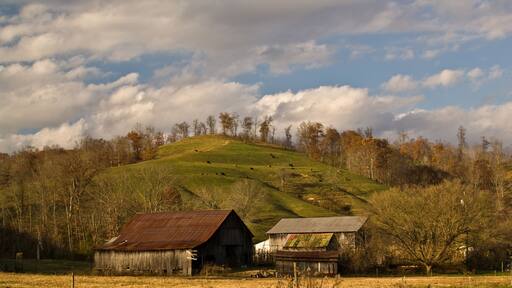 Farm Landscape near West Liberty Kentucky