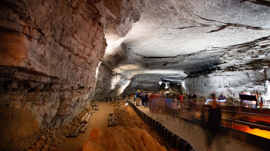 Mammoth Cave