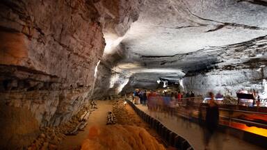 Mammoth Cave