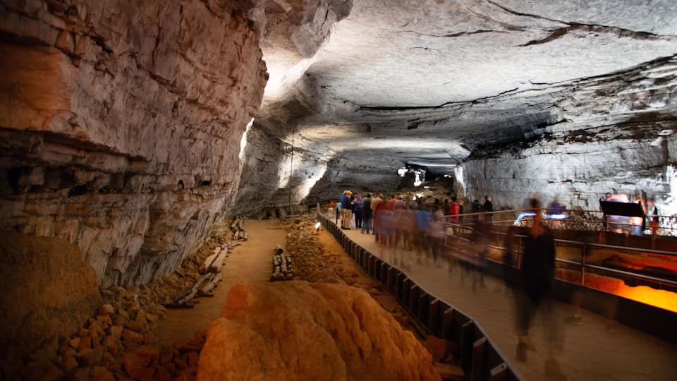 A cave with rock formations and a walkway for visitors.