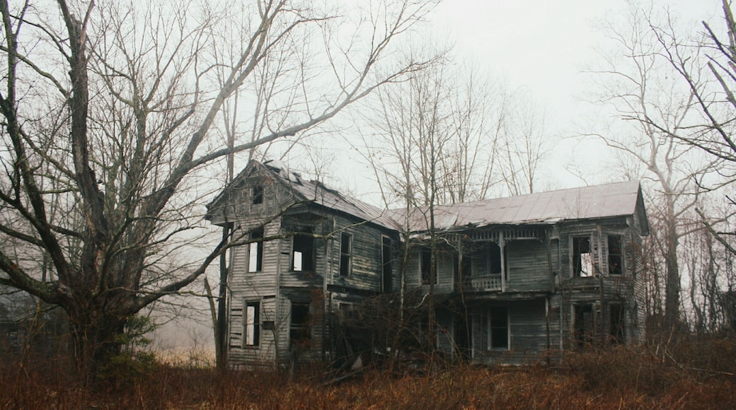 the old abandoned "gingerbread house" in carter county, ky.