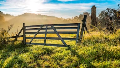 Old Farm Gate #1