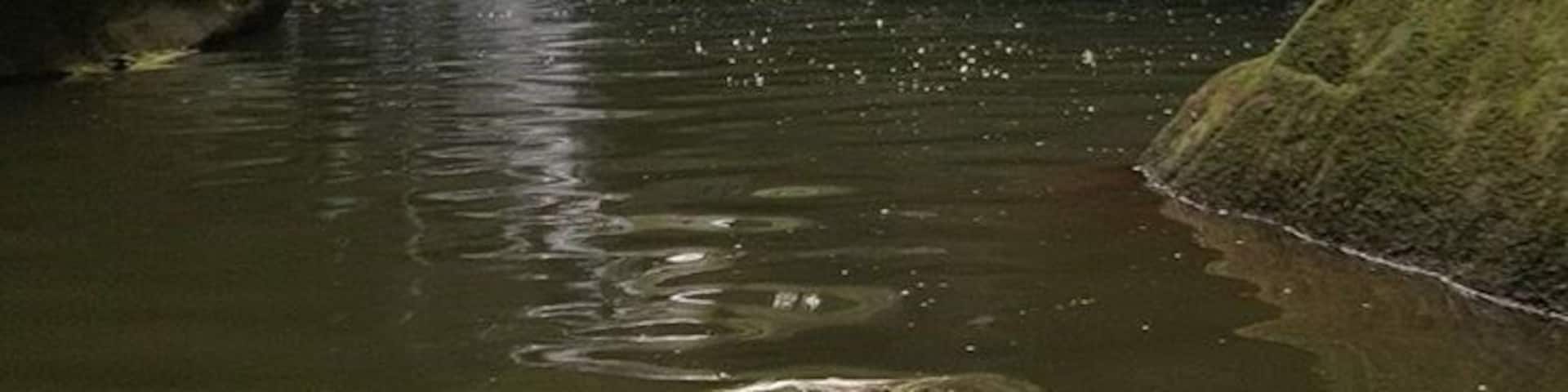 Greyson Lake.. A beautiful place located in Kentucky where you can jump on in your bathing suit and start swimming, hop in a kayak, throw your tennis shoes on and start hiking, or simply go cliff jumping off some of the beautiful rocks there. Highly recommend it to anyone looking for an adventurous day. #AquaTrove Everyone please help me win.