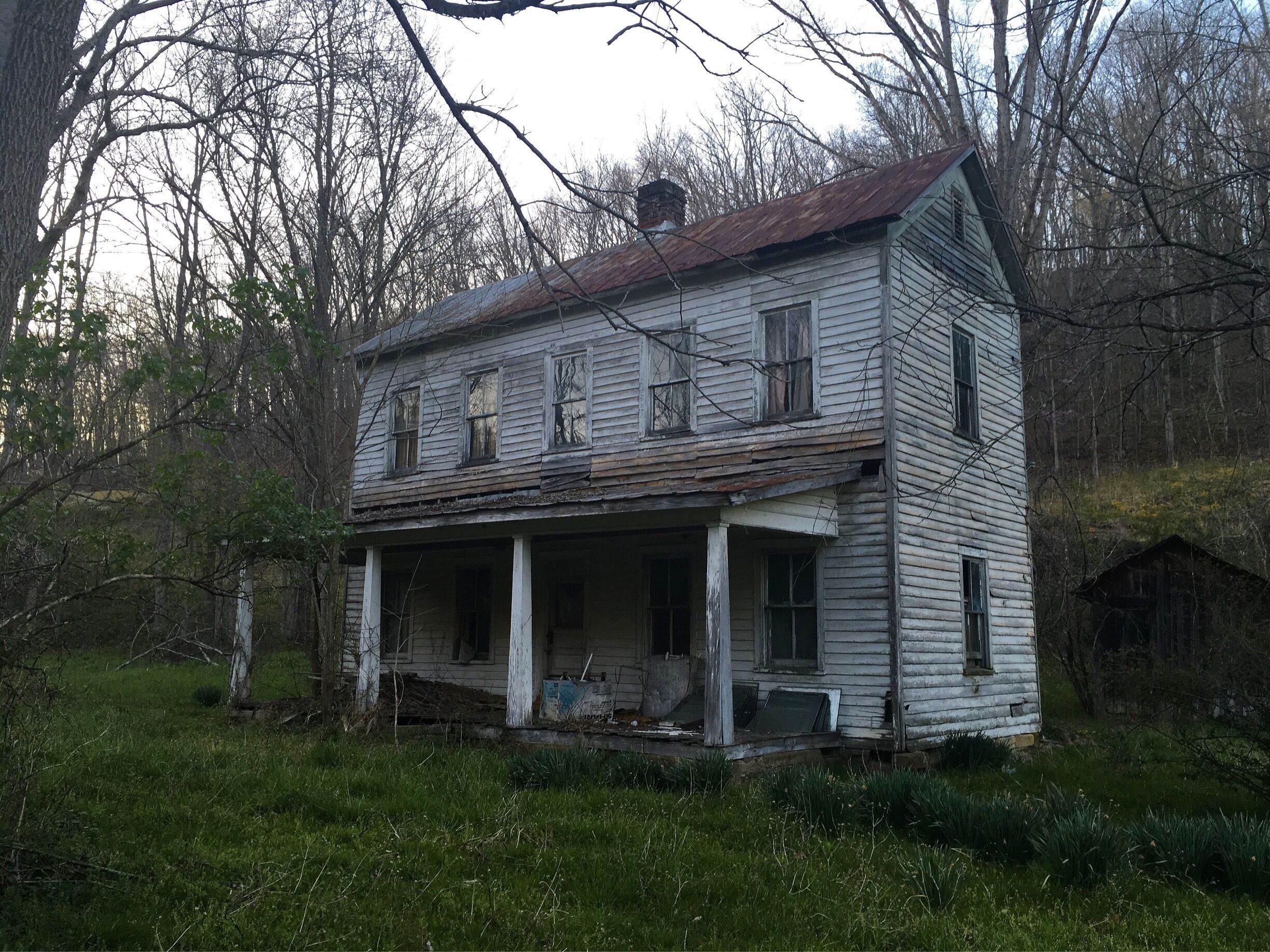 she was just standing off the road so majestically. out in the middle of nowhere eastern Kentucky 