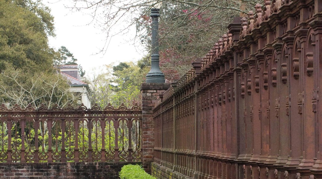 Located on the leveed banks of the Mississippi River, this old plantation has beautiful gardens to stroll though and offers tours with guides dressed in period costumes. You can even host a wedding here!