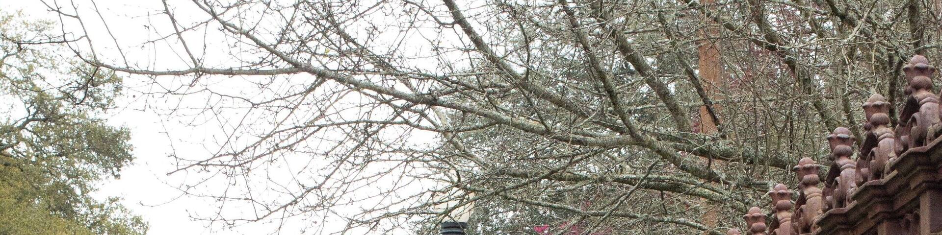 Located on the leveed banks of the Mississippi River, this old plantation has beautiful gardens to stroll though and offers tours with guides dressed in period costumes. You can even host a wedding here!