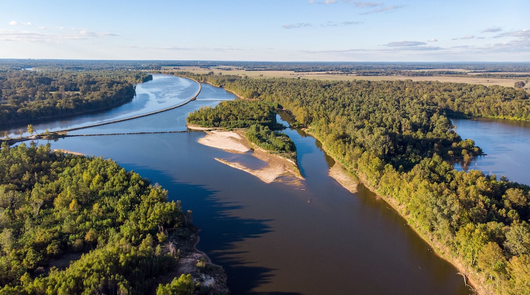 Forest top view drone red river louisiana