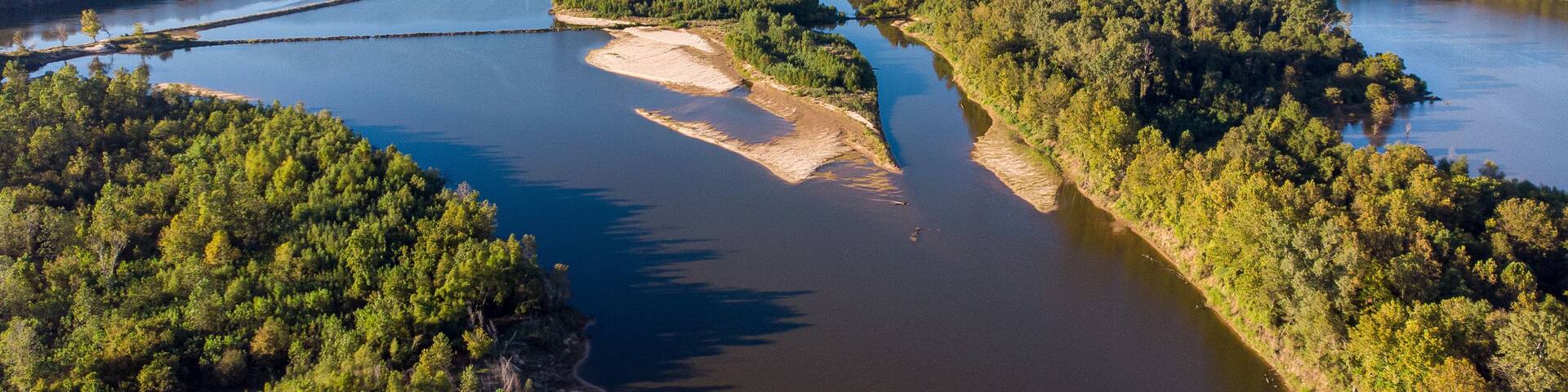 Forest top view drone red river louisiana