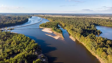Forest top view drone red river louisiana