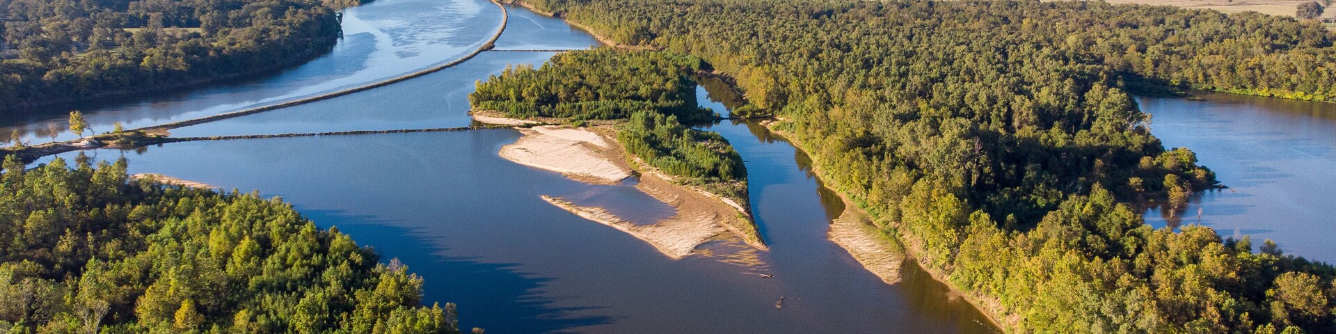 Forest top view drone red river louisiana