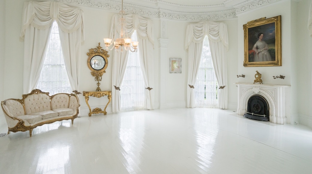 Nottoway plantation in Louisiana. Great place to spend a few days. You can rent a room in the main house or cottages.